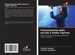 Finanziamento delle piccole e medie imprese