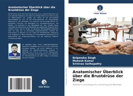 Anatomischer Überblick über die Brustdrüse der Ziege