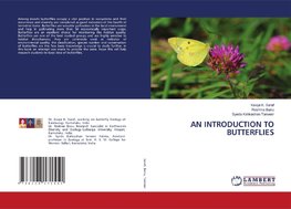 AN INTRODUCTION TO BUTTERFLIES