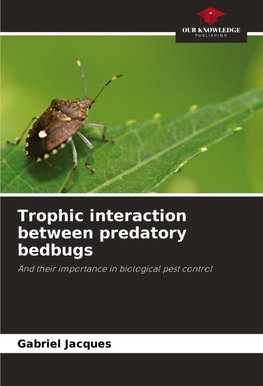 Trophic interaction between predatory bedbugs
