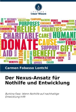 Der Nexus-Ansatz für Nothilfe und Entwicklung