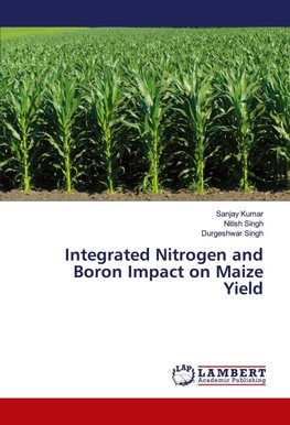 Integrated Nitrogen and Boron Impact on Maize Yield