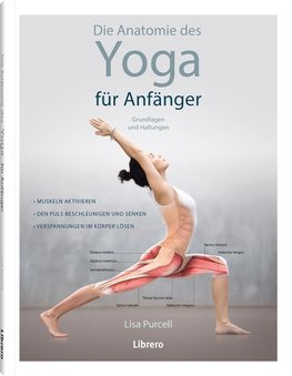 Die Anatomie des Yoga für Anfänger