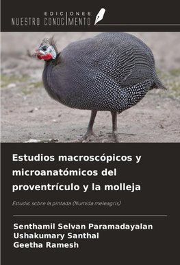 Estudios macroscópicos y microanatómicos del proventrículo y la molleja
