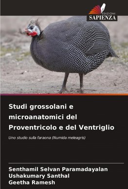 Studi grossolani e microanatomici del Proventricolo e del Ventriglio