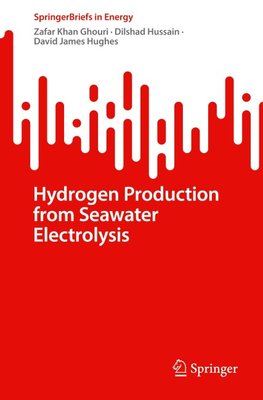 Hydrogen Production from Seawater Electrolysis