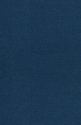 The YouTube Algorithm