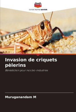 Invasion de criquets pèlerins