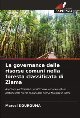 La governance delle risorse comuni nella foresta classificata di Ziama