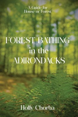 FOREST BATHING in the ADIRONDACKS