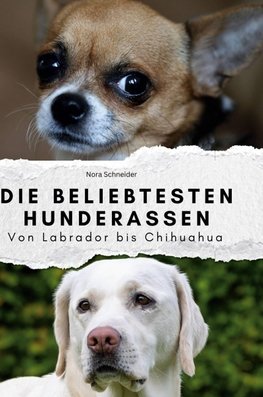 Die beliebtesten Hunderassen