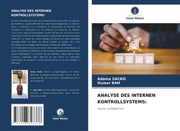 ANALYSE DES INTERNEN KONTROLLSYSTEMS: