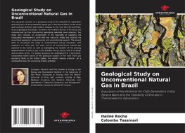 Geological Study on Unconventional Natural Gas in Brazil