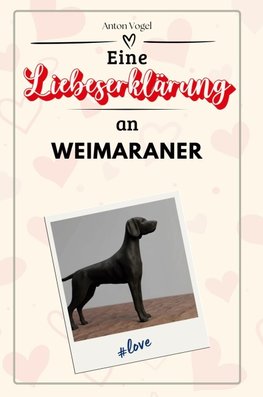 Eine Liebeserklärung an Weimaraner