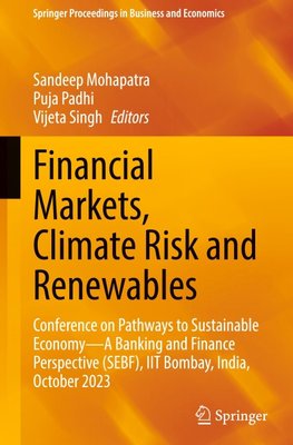Financial Markets, Climate Risk and Renewables