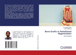 Bone Grafts in Periodontal Regeneration