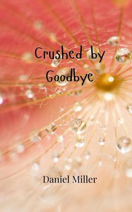 Crushed by Goodbye