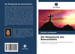 Die Metaphysik des Bewusstseins