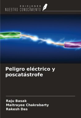 Peligro eléctrico y poscatástrofe