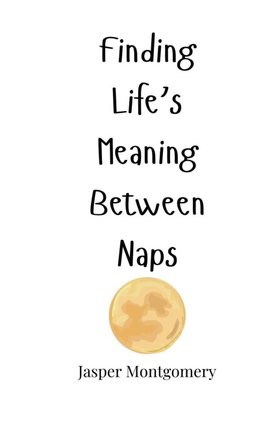 Finding Life's Meaning Between Naps