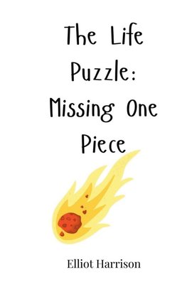The Life Puzzle