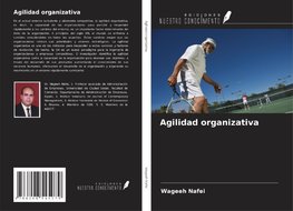 Agilidad organizativa