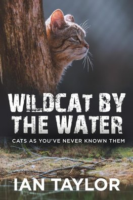 Wildcat By The Water