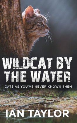 Wildcat By The Water