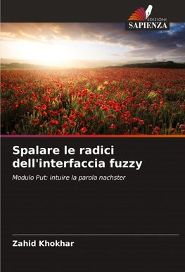 Spalare le radici dell'interfaccia fuzzy