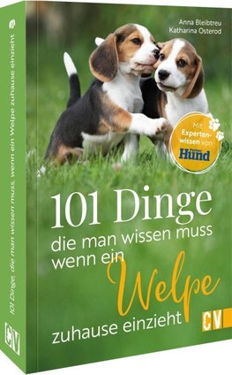 101 Dinge, die man wissen muss, wenn ein Welpe zuhause einzieht