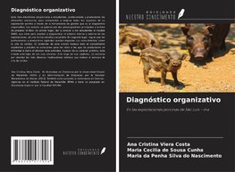 Diagnóstico organizativo