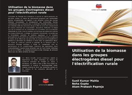 Utilisation de la biomasse dans les groupes électrogènes diesel pour l'électrification rurale