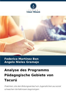 Analyse des Programms Pädagogische Gebiete von Tacurú