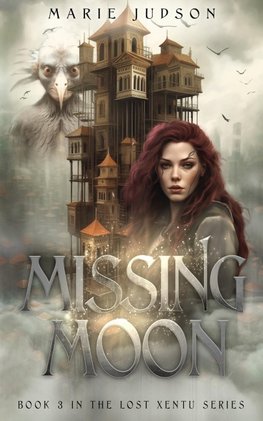 Missing Moon