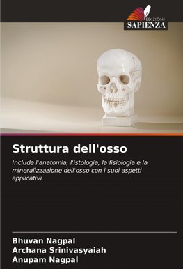 Struttura dell'osso