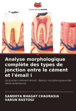 Analyse morphologique complète des types de jonction entre le cément et l'émail i
