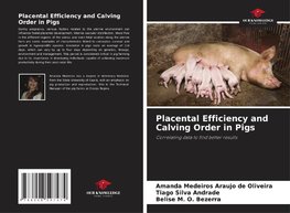 Placental Efficiency and Calving Order in Pigs