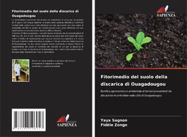 Fitorimedio del suolo della discarica di Ouagadougou
