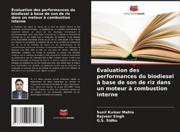 Évaluation des performances du biodiesel à base de son de riz dans un moteur à combustion interne