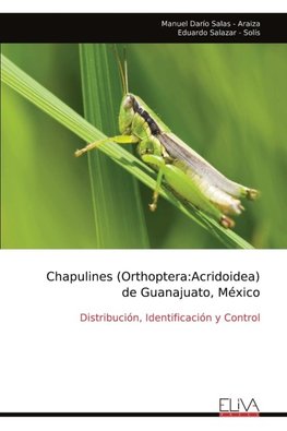 Chapulines (Orthoptera