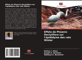 Effets de Phoenix Dactylifera sur l'épididyme des rats Wistar