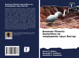 Vliqnie Phoenix Dactylifera na äpididimis krys Vistar
