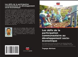 Les défis de la participation communautaire au développement socio-économique