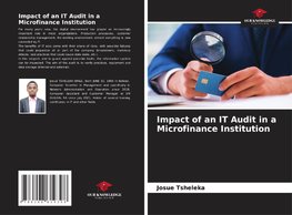 Impact of an IT Audit in a Microfinance Institution