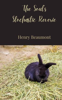 The Soul's Stochastic Reverie