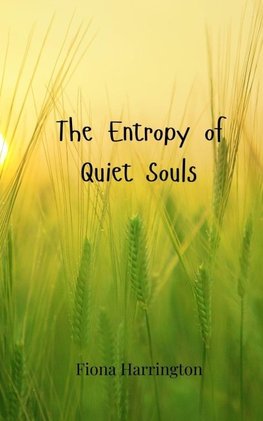 The Entropy of Quiet Souls