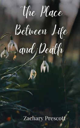 The Place Between Life and Death