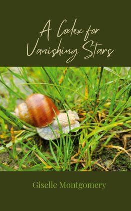 A Codex for Vanishing Stars