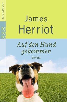 Auf den Hund gekommen
