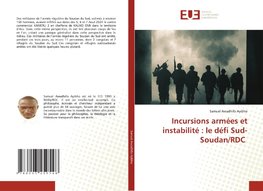 Incursions armées et instabilité : le défi Sud-Soudan/RDC